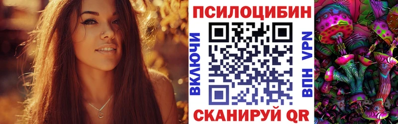 Галлюциногенные грибы GOLDEN TEACHER  где можно купить   Стародуб 